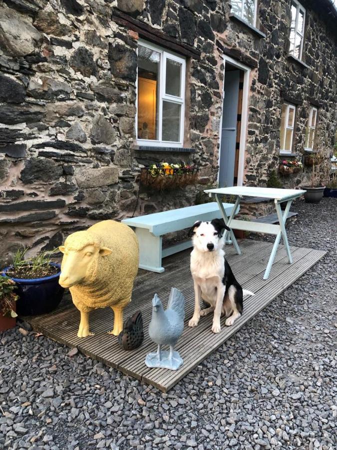Bryn Glas Wales Villa Llangynog Buitenkant foto